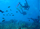 Dive Jam  * 29 x 30 * (6.41MB)